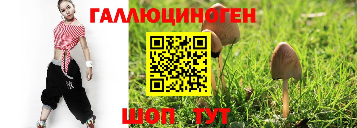 Псилоцибиновые грибы Cubensis Торжок