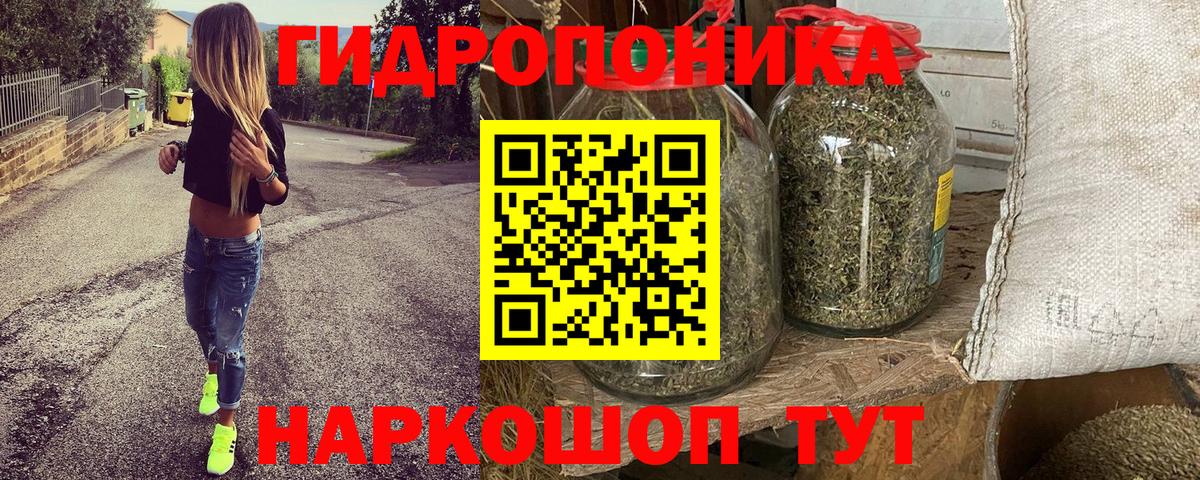 Каннабис Bruce Banner  Вход с VPN  Торжок  Бошки Шишки гибрид 